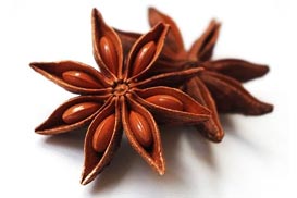 feature spice: star anise