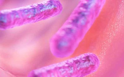 Filing an E Coli Claim in Atlanta? Here’s What You Shouldn’t Do