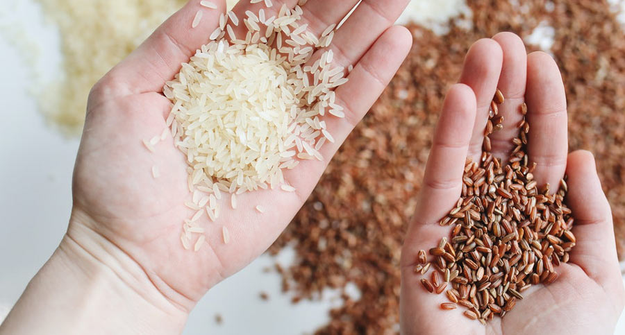Why rice is healthy, and which types you should eat